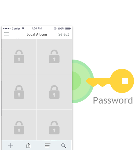 Offline album encryption  