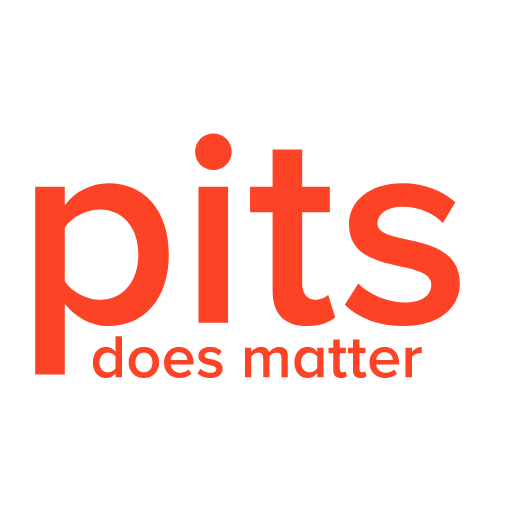 PITS Global Data Recovery Services