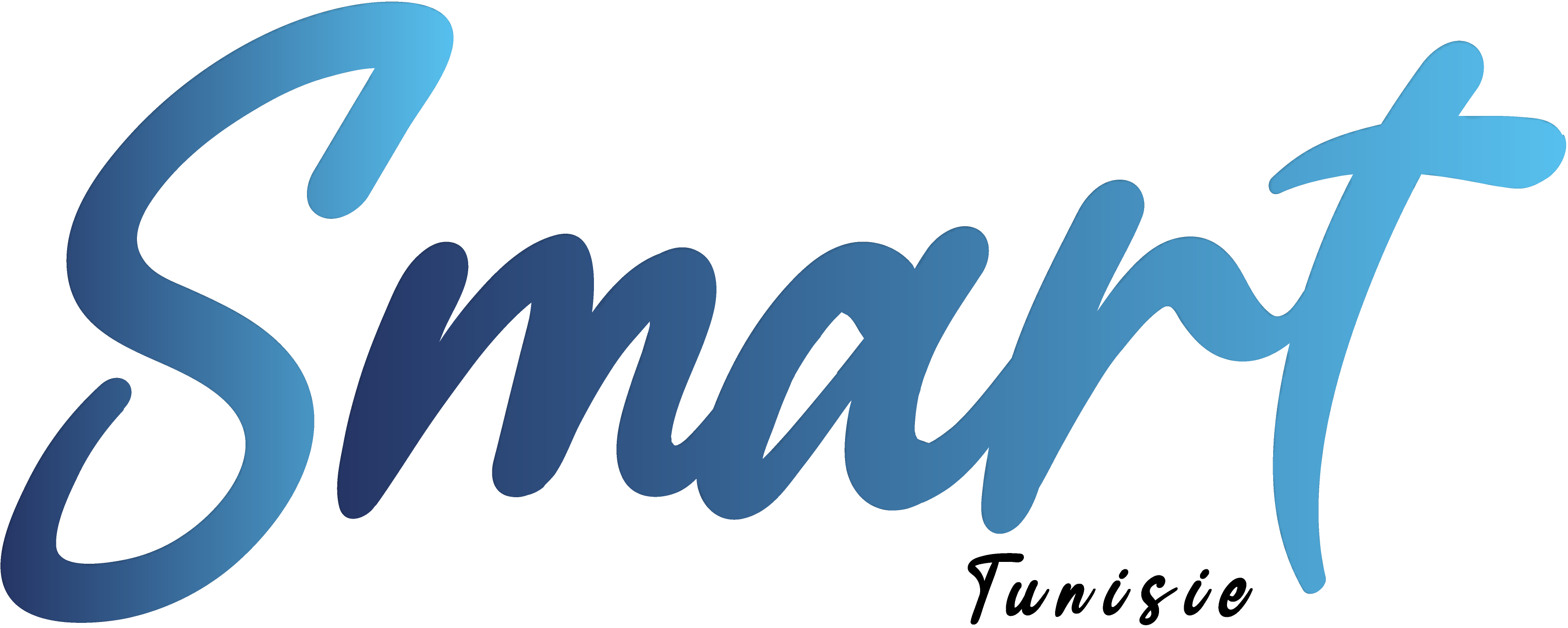 asustor sell store --LOGO-SMART-TUNISIE2.png