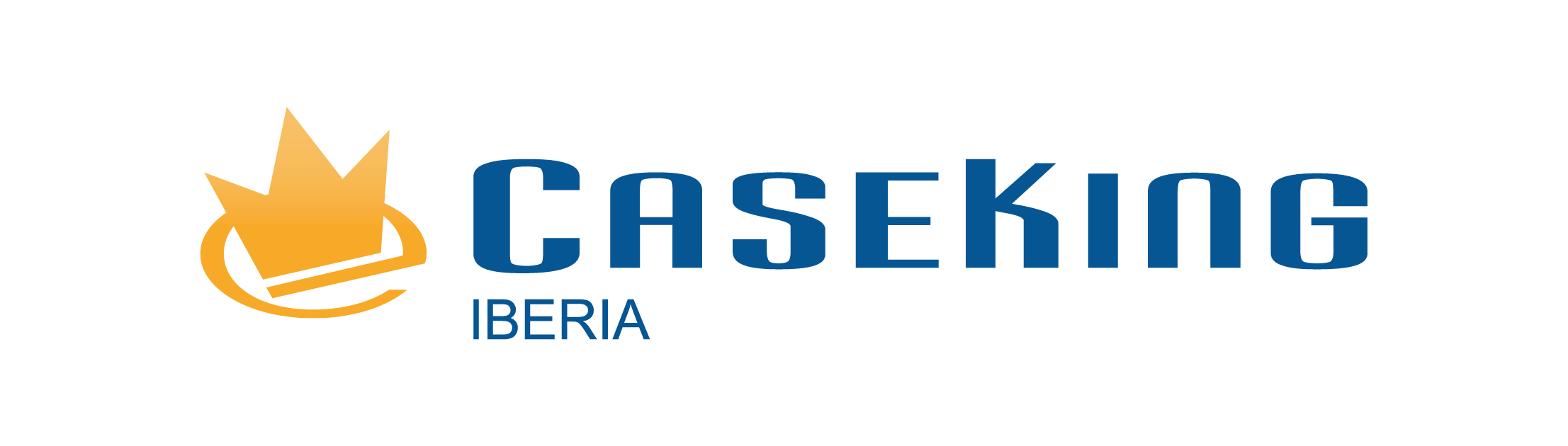 asustor sell store Logo_CasekingIberia-Colors.png