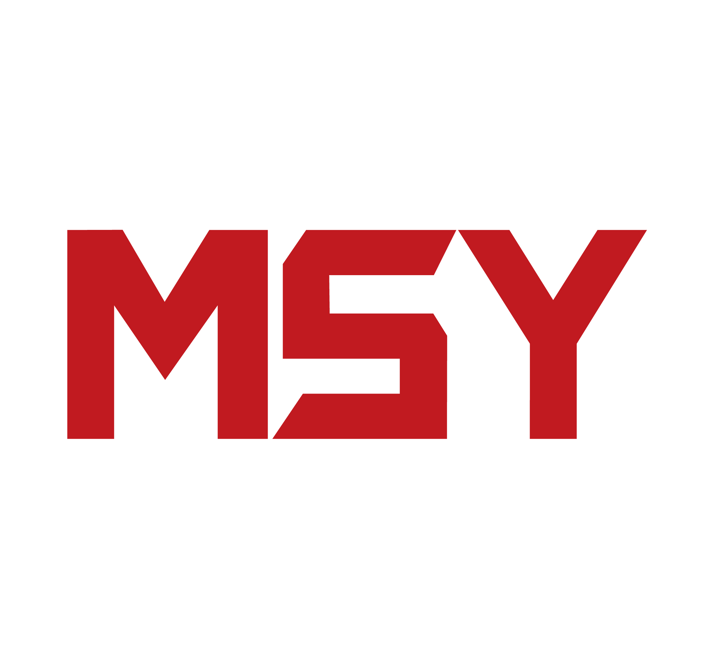asustor sell store MSY_Version_1_Red_logo.png